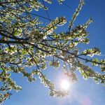 Anna Ekstrand - @sjogren1827 - Instagram