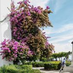 Anna Ekstrand Hjerpe - @annaekstrandhjerpe6219 - Instagram