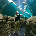Anna Ekstrand Second - Facebook