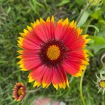 Anna Elam - @an.na_elam - Instagram