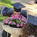 Anna Elam - Facebook