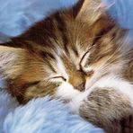 Anna Elbert - Facebook