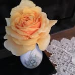 Anna Eldridge - Facebook