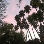A N N A - @anna.elektra - Instagram