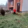 Anna Elek - @anna.elek6 - TikTok