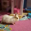 Elekidou Anna - @elekidou.anna - TikTok