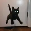 anna - @anna.telford - TikTok