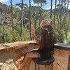 Anna Elias - @anna.elias43 - TikTok