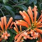 Anna Eliasson - @eliassonanna53 - Instagram