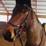 Anna Eliasson - @eliasson268 - Instagram