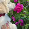 Anna Eliasson - @anna.eliasson7 - TikTok