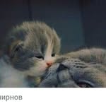 Аня Елькина - @_anna_elkina_ - Instagram
