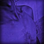 ana elking - @ana_elking150 - Instagram