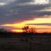Anna Elkins - Facebook