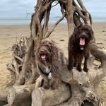 Anna Ellington - @anna.ellington1 - Instagram