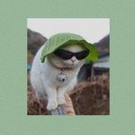 anna engler - @anna_engler_ - Instagram