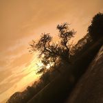 Anna Engler - @anna.iris.engler.2008 - Instagram