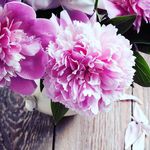 Anna.Erhart💗 - @anna.erhart - Instagram