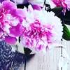 Anna.Erhart - @anna.erhart - TikTok