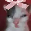 annaespino - @anna_espino - TikTok