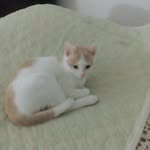 anna.espinosa - @anna.espinosa3257 - Instagram