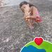 Anna Espinosa - Facebook