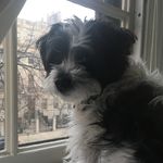 Anna Fahey-Flynn - @waltertdog - Instagram