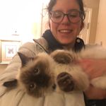 Anna Falbo - @its_anna_falbo - Instagram