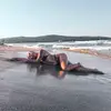 Anna Fedosova - @an.fedosova - TikTok