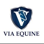 anna fee - @viaequineanna - Instagram