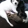 Laura Anna Feehan - @laura.anna.feehan - TikTok