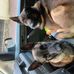 Anna Fein - Facebook