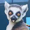Anna - @anna.derefeldt - TikTok
