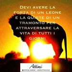 Anna Cuordileone Fender - @cuordileoneanna - Instagram