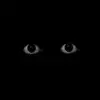 Anna Fender - @erricsean - TikTok