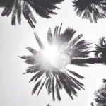 Anna Fenwick - @escapethewaves - Instagram