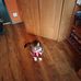 Anna Felkel - Facebook