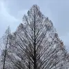 anna fern - @moss.on.rocks - TikTok