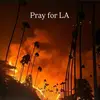 Charity For LA fire victims - @anna_fernando1 - TikTok