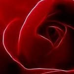 Anna Ferraiuolo - @an7415963 - Instagram