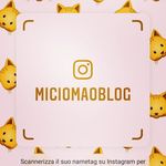 Anna Maria Ferraiuolo - @miciomaoblog - Instagram