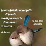 Anna Maria Ferrini - @ferriniannamaria - Instagram