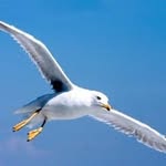Anna Maria Ferrini - @libera.am55 - Instagram