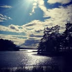 Anna Fester - Facebook