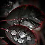 Anna Feucht - Facebook