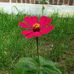 Anna Vago - Facebook