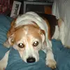 Anna Fico - @30219268465 - TikTok