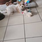 Anna Fico - Facebook