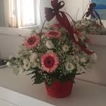 Lisanna Fiengo - @lisannafiengo - Instagram