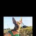 Anna Figueredo - Facebook